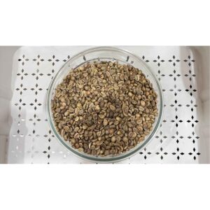 GREEN BEAN ROBUSTA COFFEE - GAYO - GRADE 1 - EK 1 - 1 -WEB